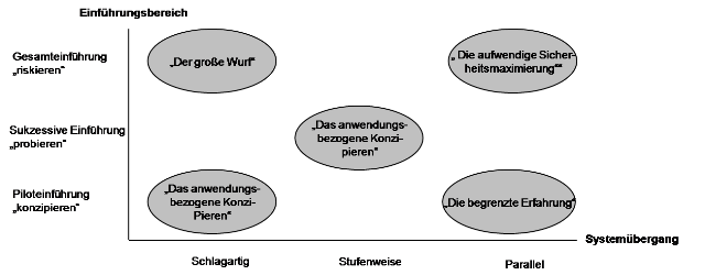 Einfuehrung von Anwendungssystemen