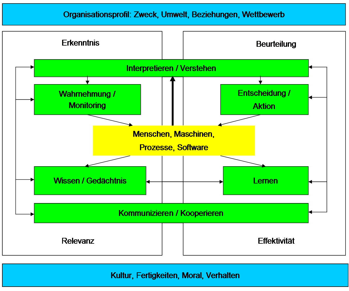 Organisationale Intelligenz Abbildung 1