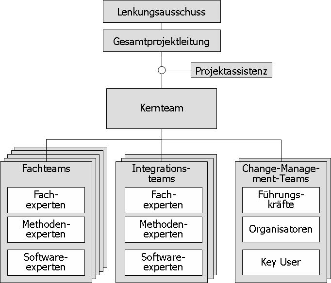 Projektorganisation Standardsoftwareeinfuehrung Abb. 1