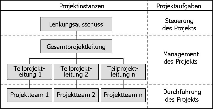 Projektorganisation Abb. 5