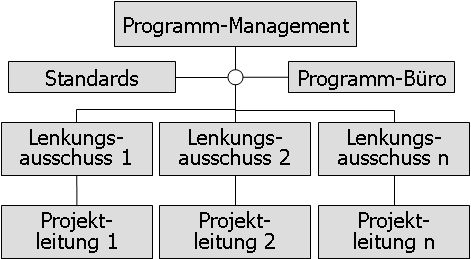 Projektorganisation Abb. 6